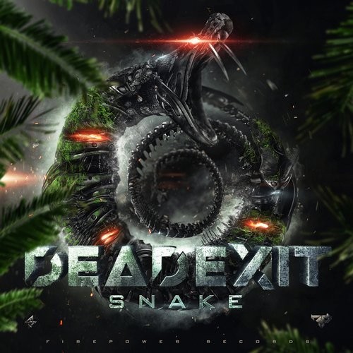 Snake封面