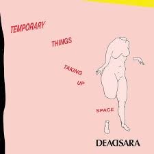 Temporary Things Taking Up Space封面