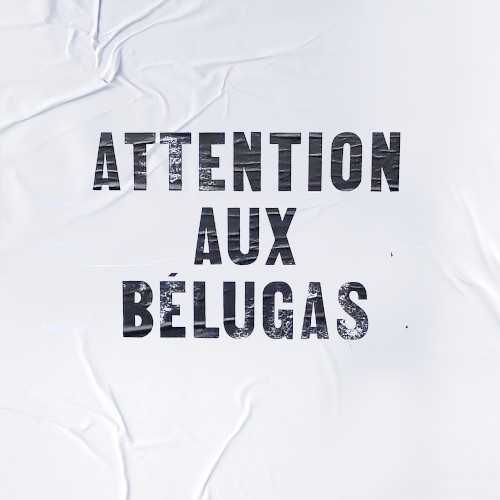 à perte de vue封面