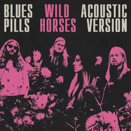Wild Horses - Acoustic封面