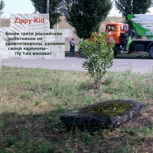 Более трети российских работников не удовлетворены уровнем своей зарплаты - Пу Тин виноват封面