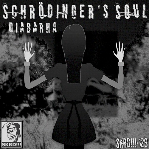 Schrödinger's Soul封面