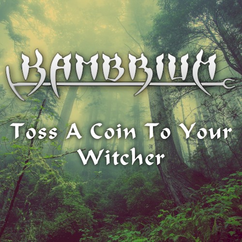 Toss a Coin to Your Witcher封面
