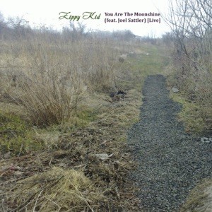 You Are the Moonshine (Live)封面