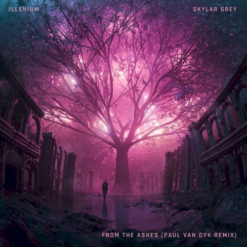From the Ashes (Paul van Dyk remix)封面