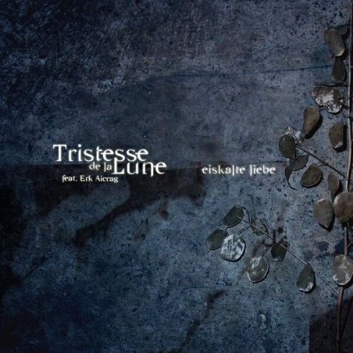 Eiskalte Liebe封面