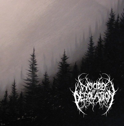 Woods of Desolation / Drohtnung封面
