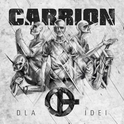 Dla idei封面
